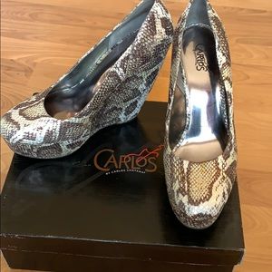 Platform 5 1/2 in Heel